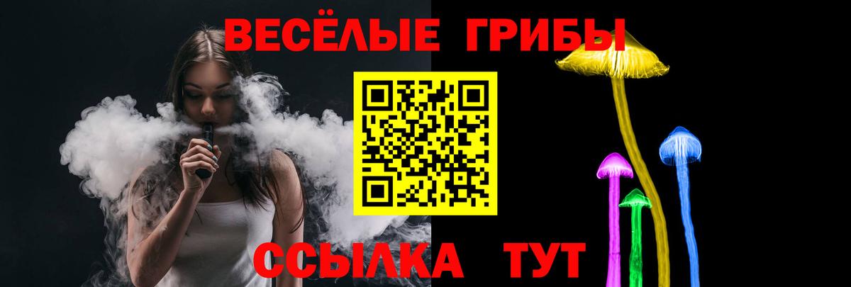 Галлюциногенные грибы Psilocybine cubensis  Вход с VPN  Псилоцибиновые грибы ЛСД  Улан-Удэ 